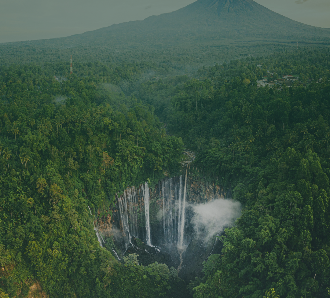 Discover Local Wonders & Hidden Gems